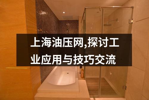 上海油压网,探讨工业应用与技巧交流