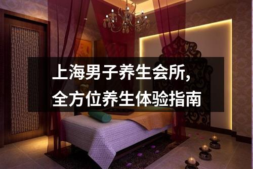 上海男子养生会所, 全方位养生体验指南