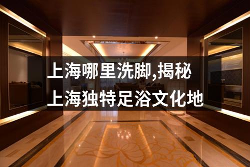 上海哪里洗脚,揭秘上海独特足浴文化地