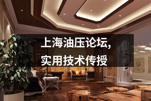 上海油压论坛,实用技术传授