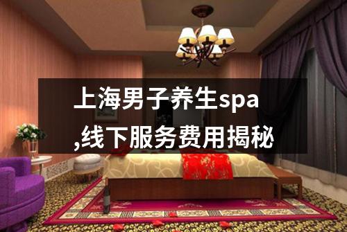 上海男子养生spa,线下服务费用揭秘