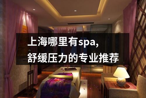 上海哪里有spa,舒缓压力的专业推荐