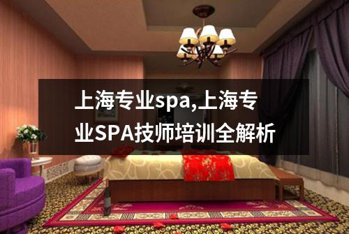 上海专业spa,上海专业SPA技师培训全解析