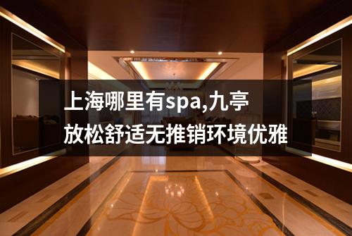 上海哪里有spa,九亭放松舒适无推销环境优雅