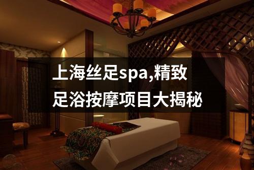 上海丝足spa,精致足浴按摩项目大揭秘