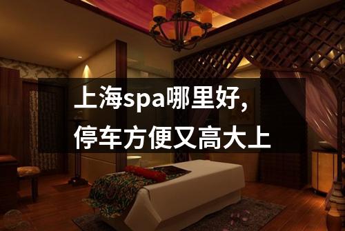 上海spa哪里好,停车方便又高大上