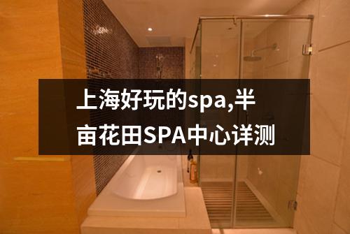 上海好玩的spa,半亩花田SPA中心详测