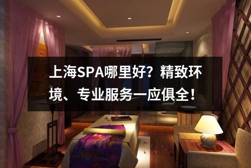 上海SPA哪里好?精致环境、专业服务一应俱全!