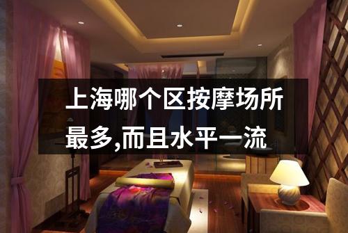 上海哪个区按摩场所最多,而且水平一流