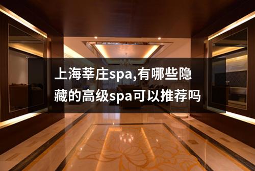 上海莘庄spa,有哪些隐藏的高级spa可以推荐吗