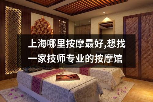 上海哪里按摩最好,想找一家技师专业的按摩馆