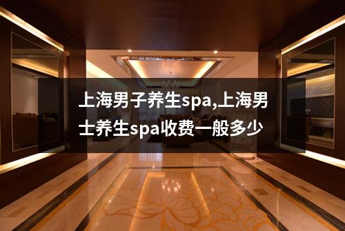 上海男子养生spa,上海男士养生spa收费一般多少