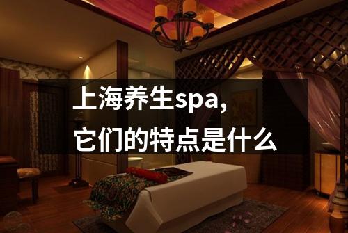 上海养生spa,它们的特点是什么