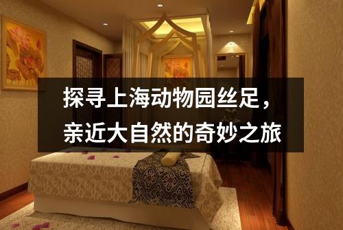 探寻上海动物园丝足，亲近大自然的奇妙之旅