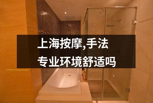 上海按摩,手法专业环境舒适吗