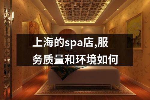 上海的spa店,服务质量和环境如何