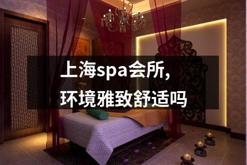 上海spa会所,环境雅致舒适吗