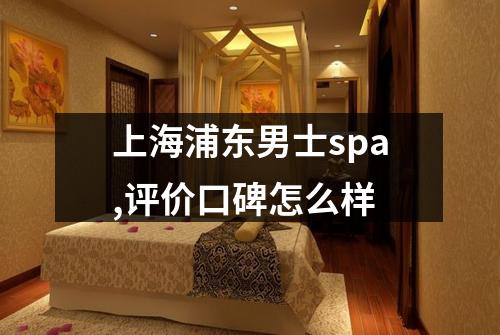 上海浦东男士spa,评价口碑怎么样