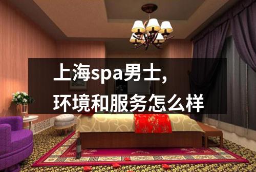 上海spa男士,环境和服务怎么样