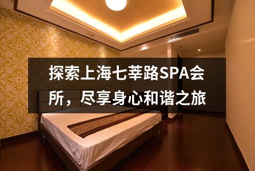 探索上海七莘路SPA会所，尽享身心和谐之旅