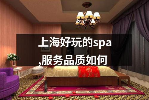 上海好玩的spa,服务品质如何