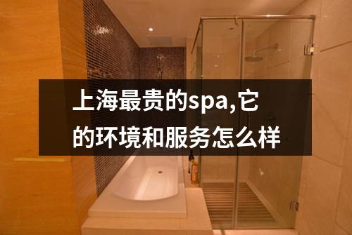 上海最贵的spa,它的环境和服务怎么样