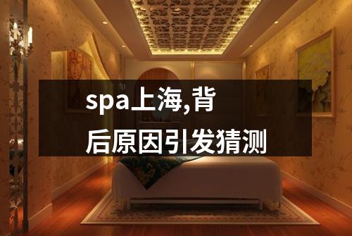 spa上海,背后原因引发猜测