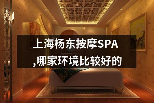 上海杨东按摩SPA,哪家环境比较好的
