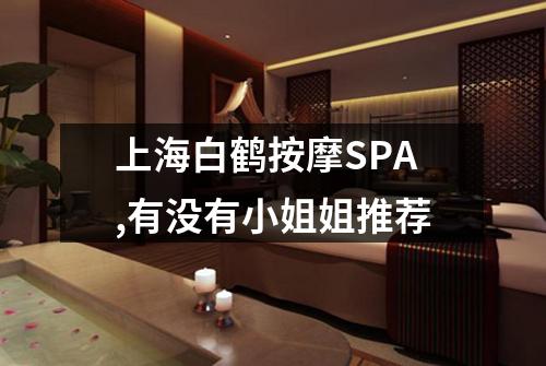 上海白鹤按摩SPA,有没有小姐姐推荐