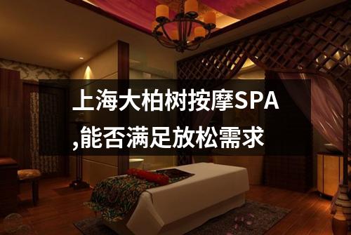 上海大柏树按摩SPA,能否满足放松需求