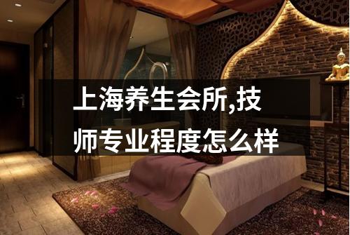 上海养生会所,技师专业程度怎么样