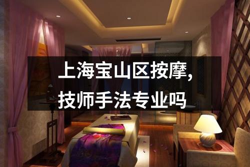 上海宝山区按摩,技师手法专业吗