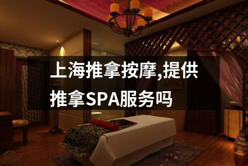 上海推拿按摩,提供推拿SPA服务吗
