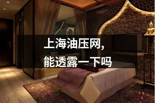 上海油压网,能透露一下吗