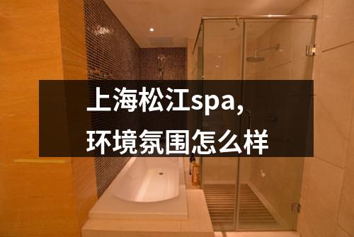 上海松江spa,环境氛围怎么样