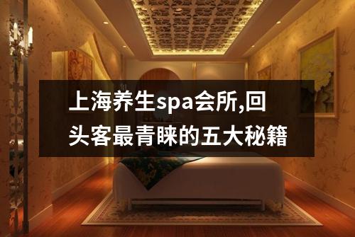 上海养生spa会所,回头客最青睐的五大秘籍