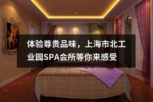 体验尊贵品味，上海市北工业园SPA会所等你来感受
