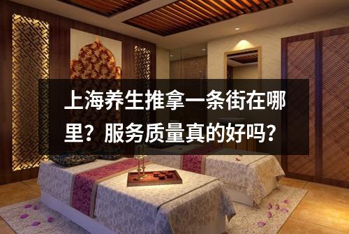 上海养生推拿一条街在哪里？服务质量真的好吗？