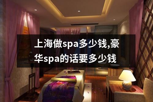 上海做spa多少钱,豪华spa的话要多少钱