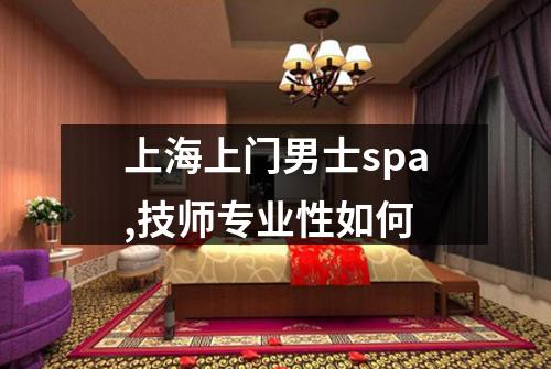 上海上门男士spa,技师专业性如何