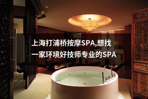 上海打浦桥按摩SPA,想找一家环境好技师专业的SPA