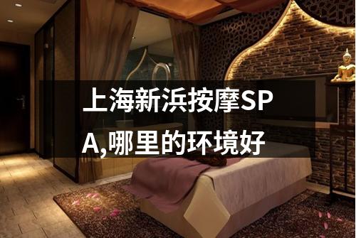 上海新浜按摩SPA,哪里的环境好