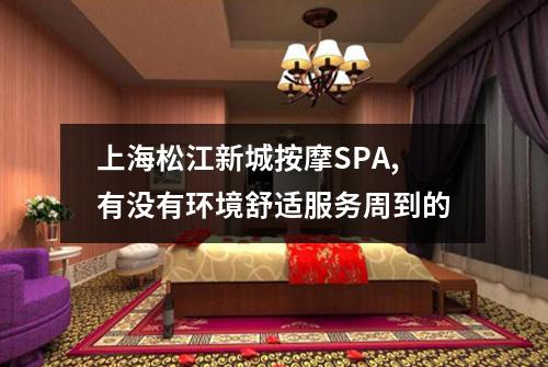 上海松江新城按摩SPA,有没有环境舒适服务周到的
