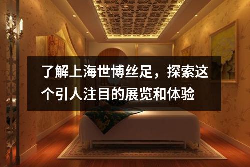 了解上海世博丝足，探索这个引人注目的展览和体验